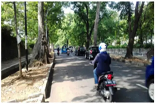 Jalur Hijau Jalan Padjajaran