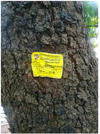 Tagging Warna Kuning