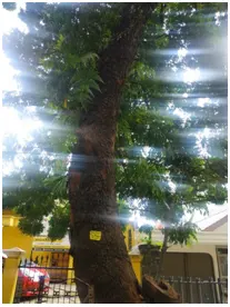 Tagging Warna Kuning